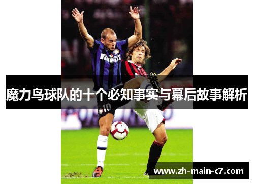 魔力鸟球队的十个必知事实与幕后故事解析 魔力鸟球队的十个必知事实与幕后故事解析