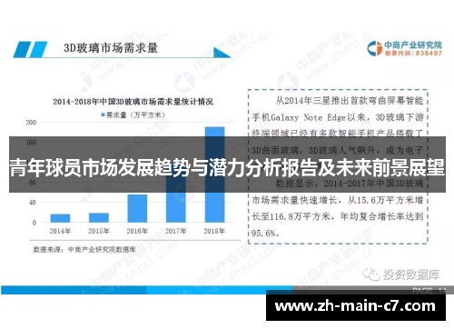 青年球员市场发展趋势与潜力分析报告及未来前景展望 青年球员市场发展趋势与潜力分析报告及未来前景展望